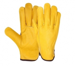 Driving Gloves (Unlined )